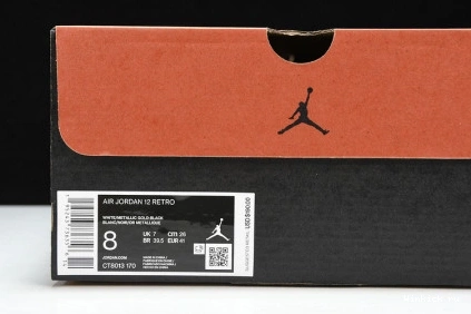 “ROYALTY” JORDAN 12 AIR 1115